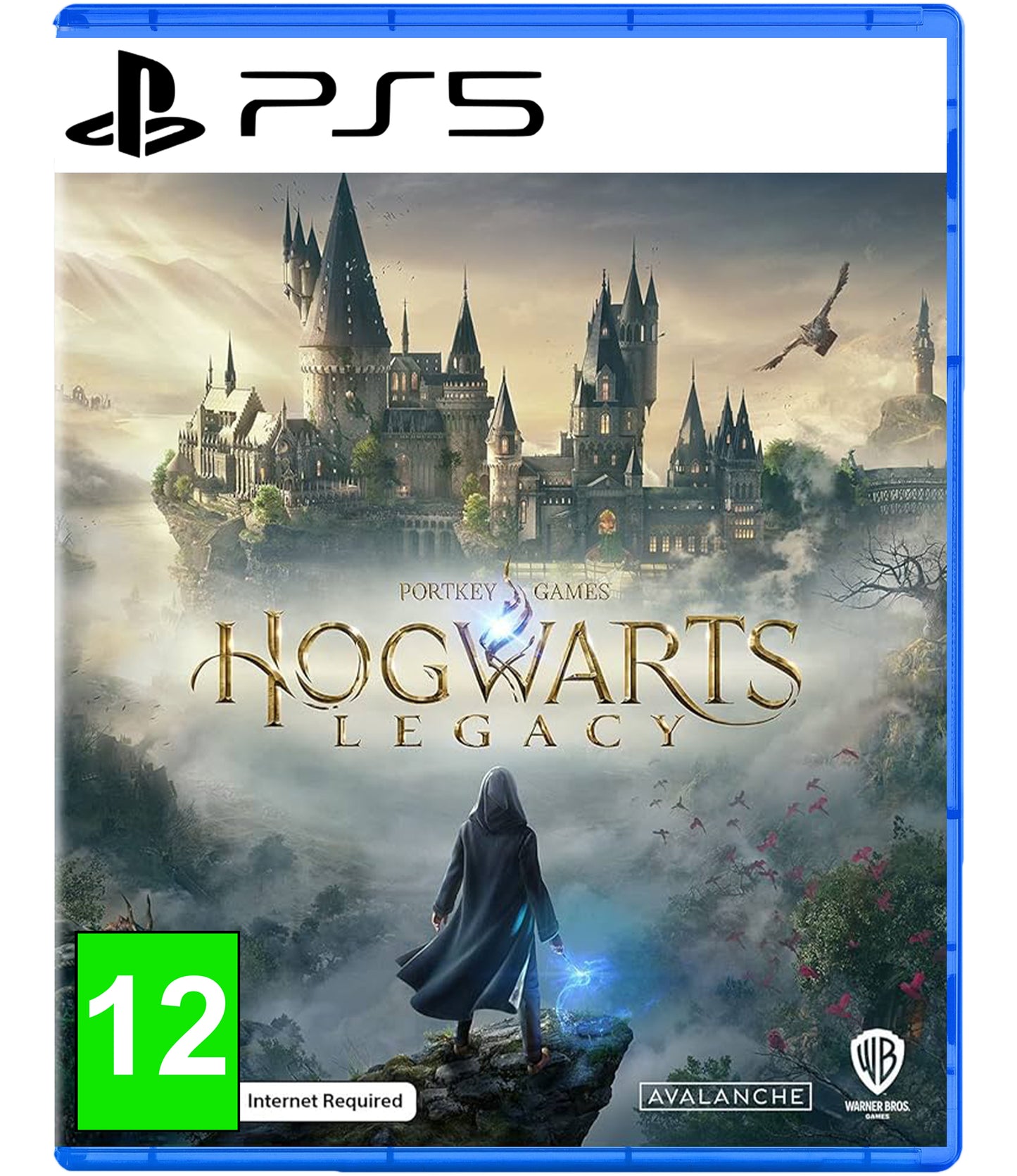 Hogwarts Legacy - PS5 Game