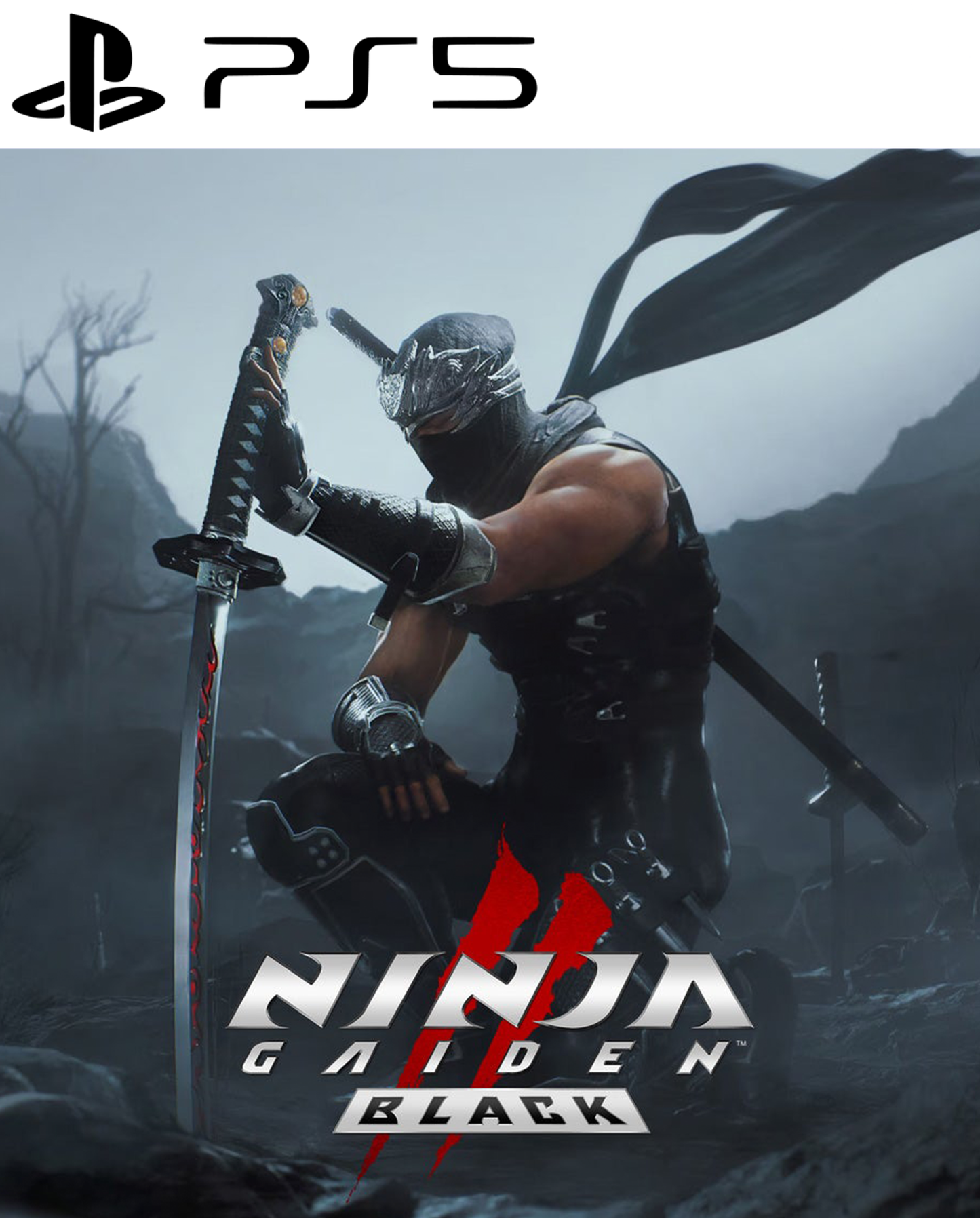 Ninja Gaiden 2 - PS5 Game