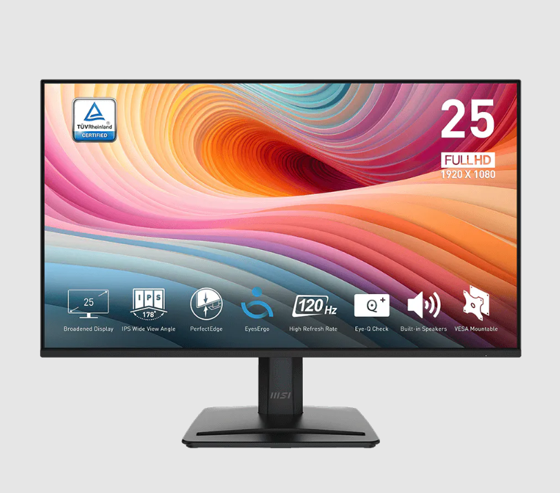 MSI Pro 24 Inch 120Hz Full HD Monitor - MP251 E2