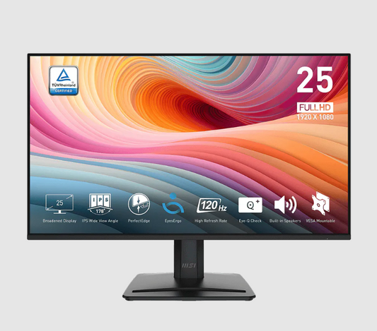 MSI Pro 24 Inch 120Hz Full HD Monitor - MP251 E2